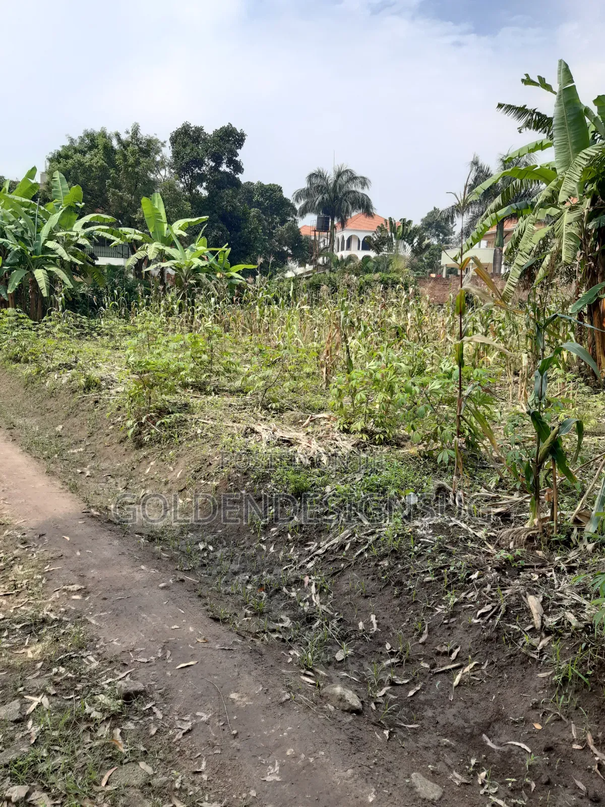 Plot of Land. Bukasa Muyenga