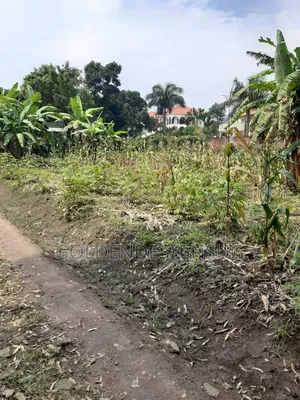 Plot of Land. Bukasa Muyenga