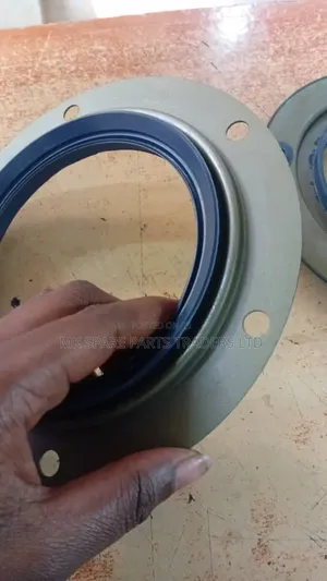 Fuso Oil Seals