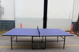 Folding Table Tennis Table