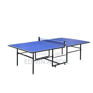Folding Table Tennis Table