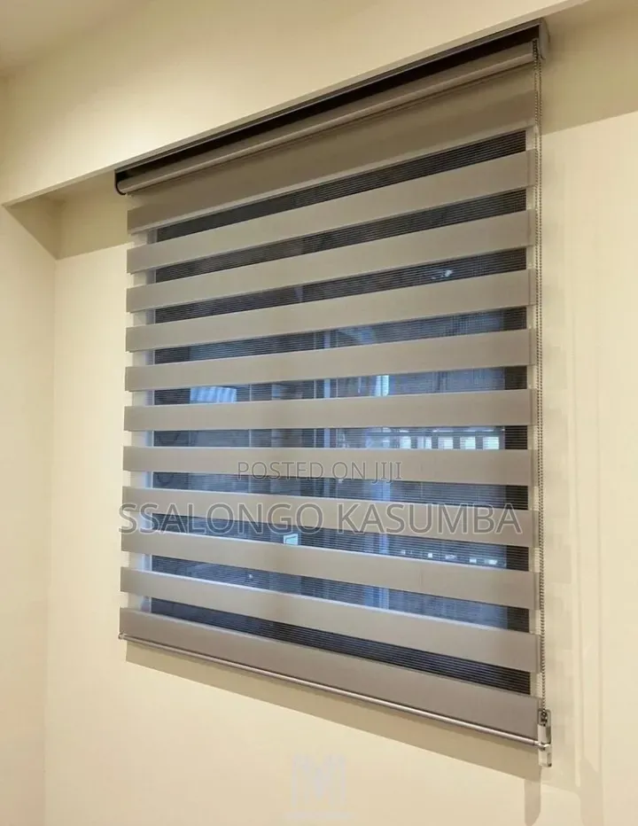 Zebra Blinds