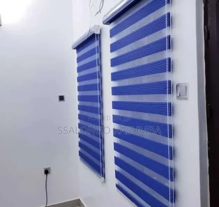 Zebra Blinds
