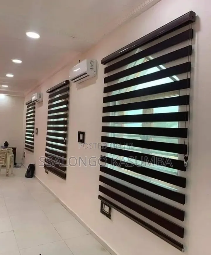 Zebra Blinds