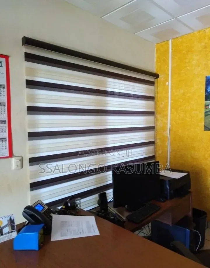 Zebra Blinds