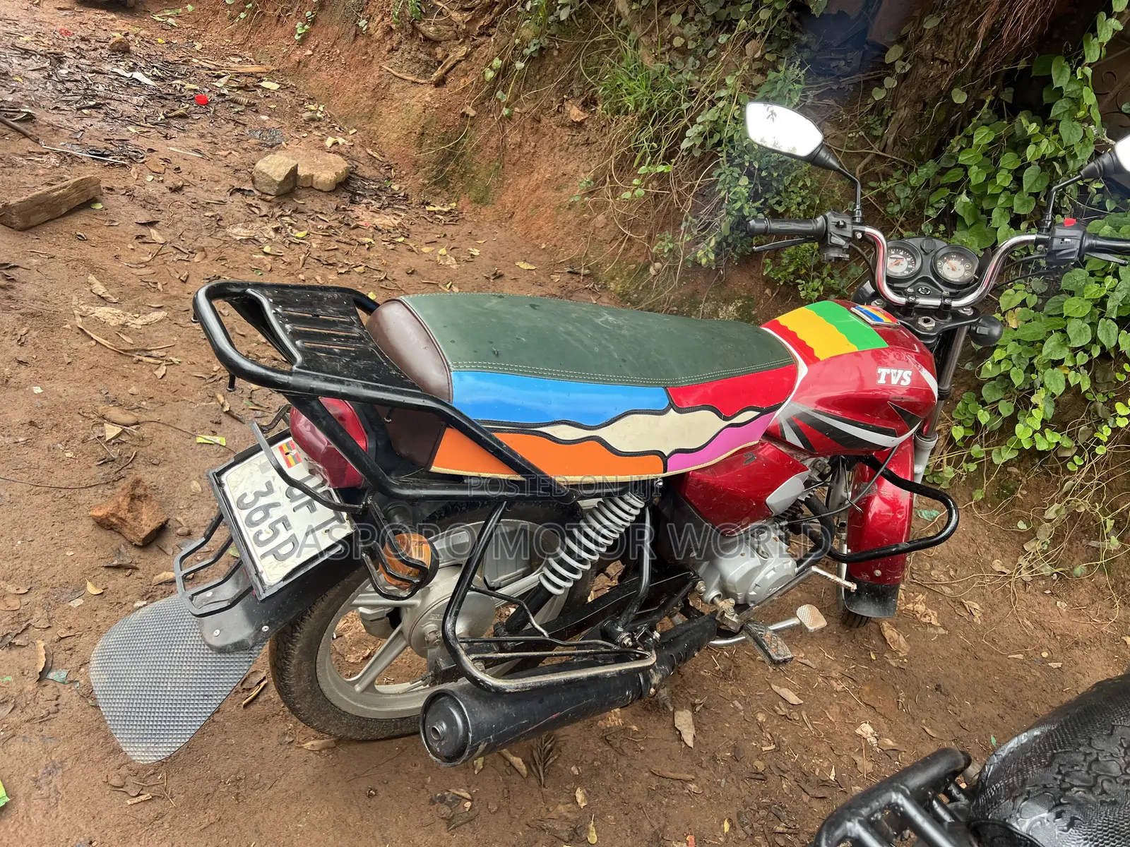 TVS HLX 125 2022 Red