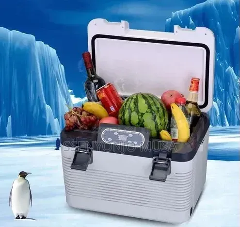 Portable 12l Mini Car Refrigerator Freezer – Car Home Mini Fridge.