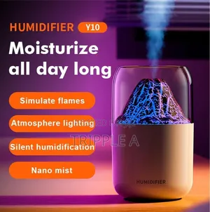 Empire Humidifier for Room Moisture