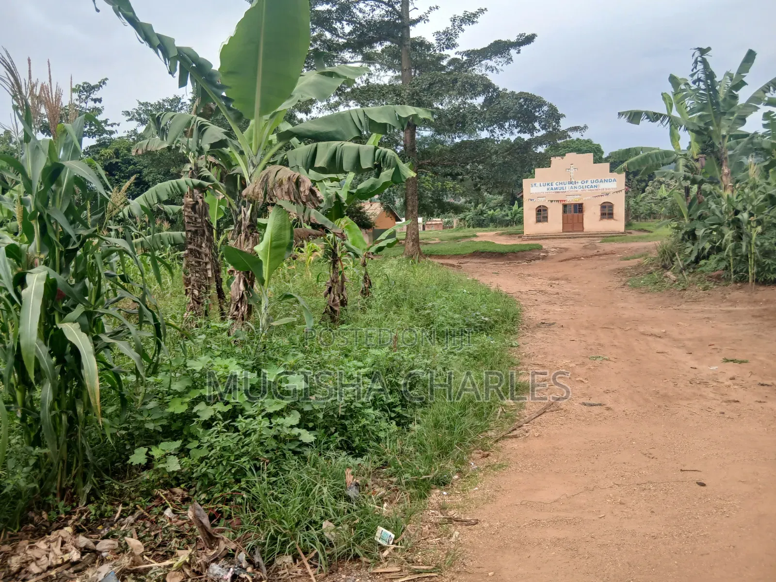 Titled Land