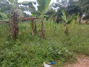 Titled Land
