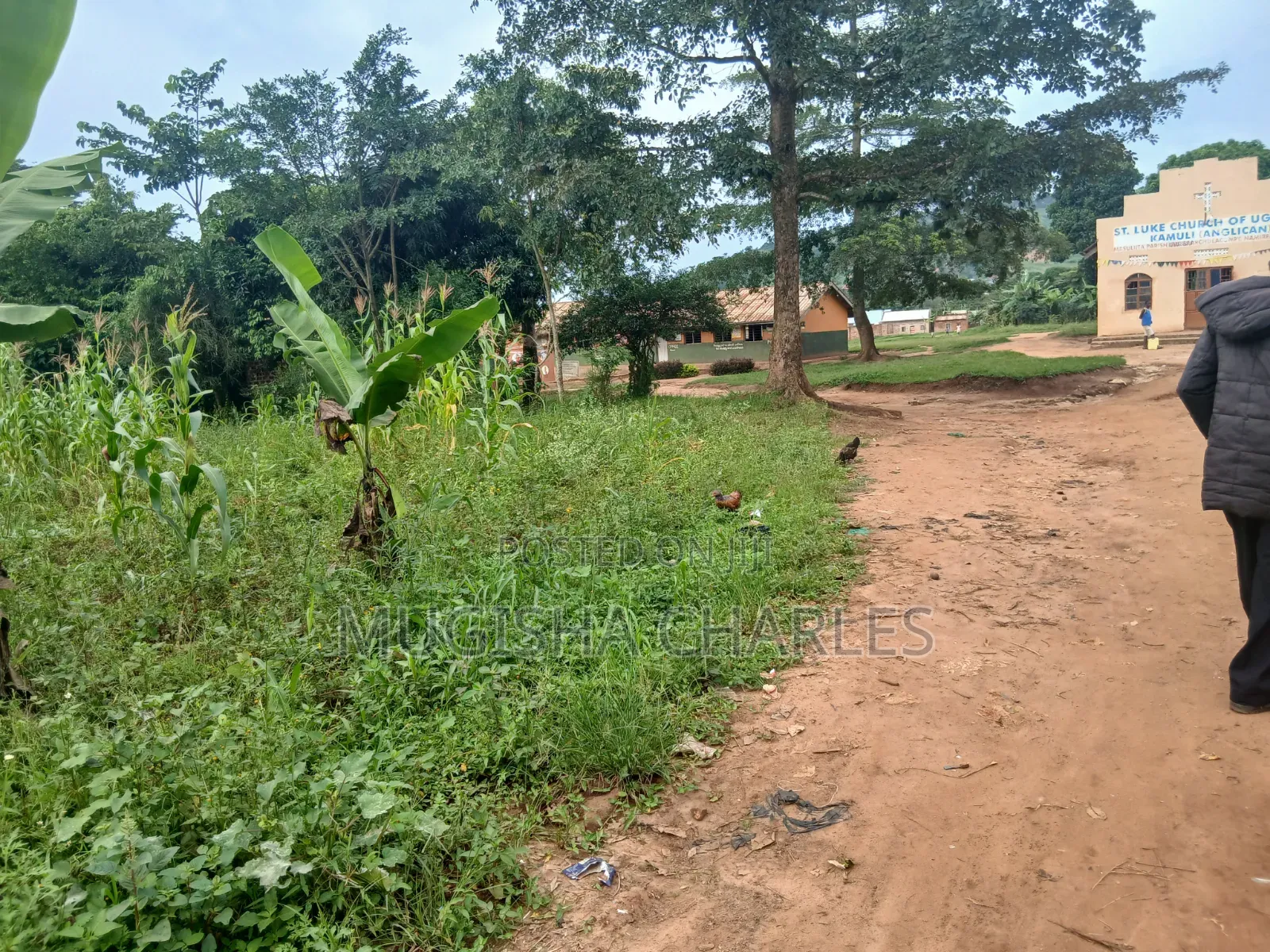 Titled Land