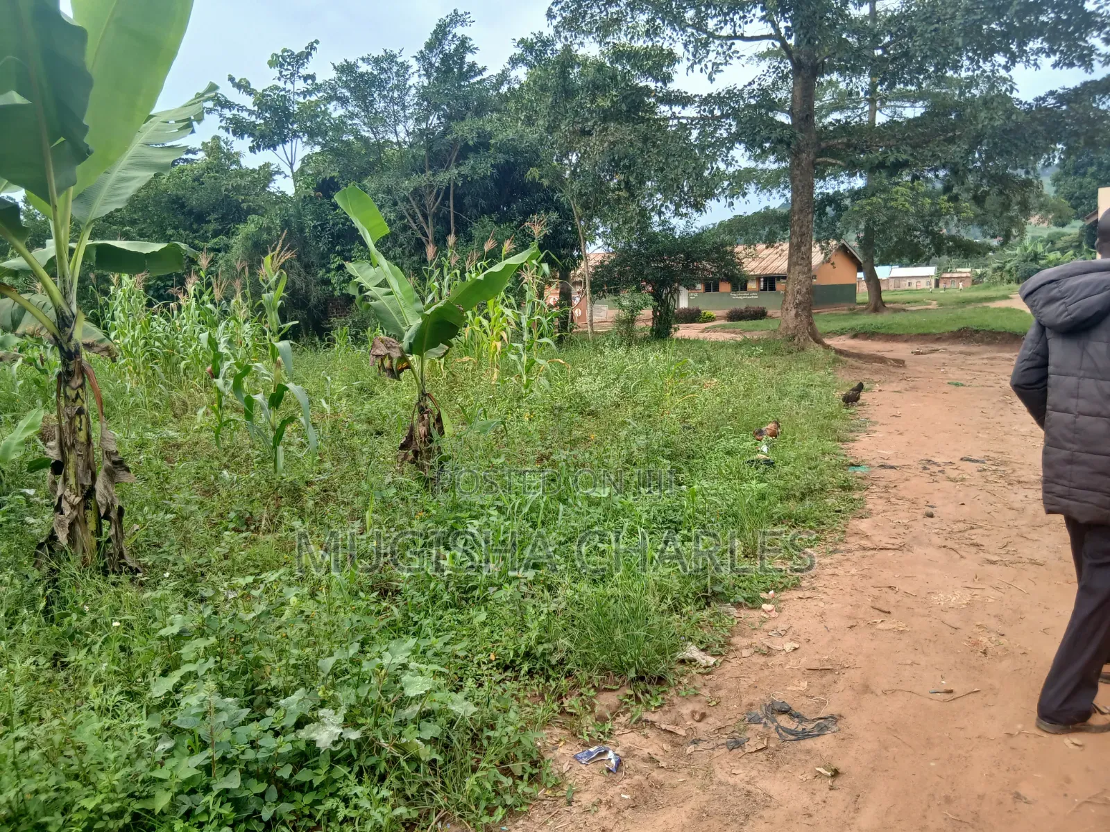 Titled Land
