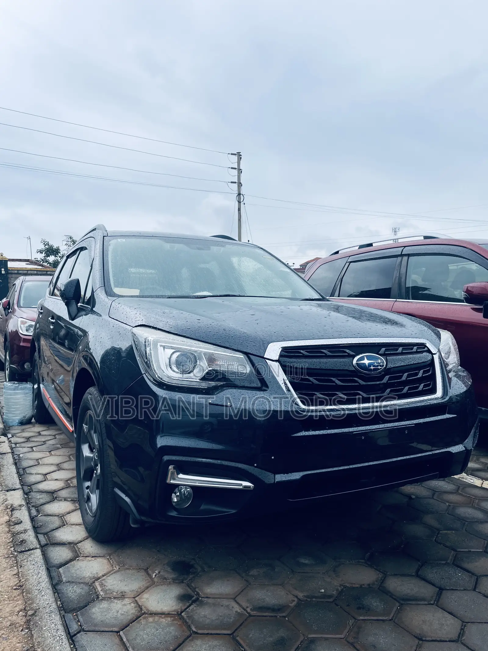 Subaru Forester 2016 Gray