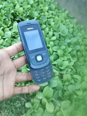 New Nokia 2220 slide Gray