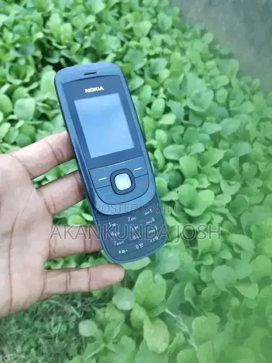 New Nokia 2220 slide Gray