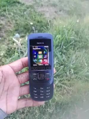 New Nokia 2220 slide Gray