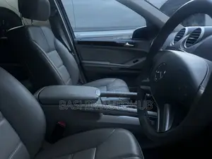 Mercedes-Benz M Class 2010 Silver