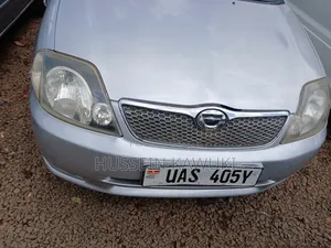 Toyota Corolla Fielder 2003 Silver