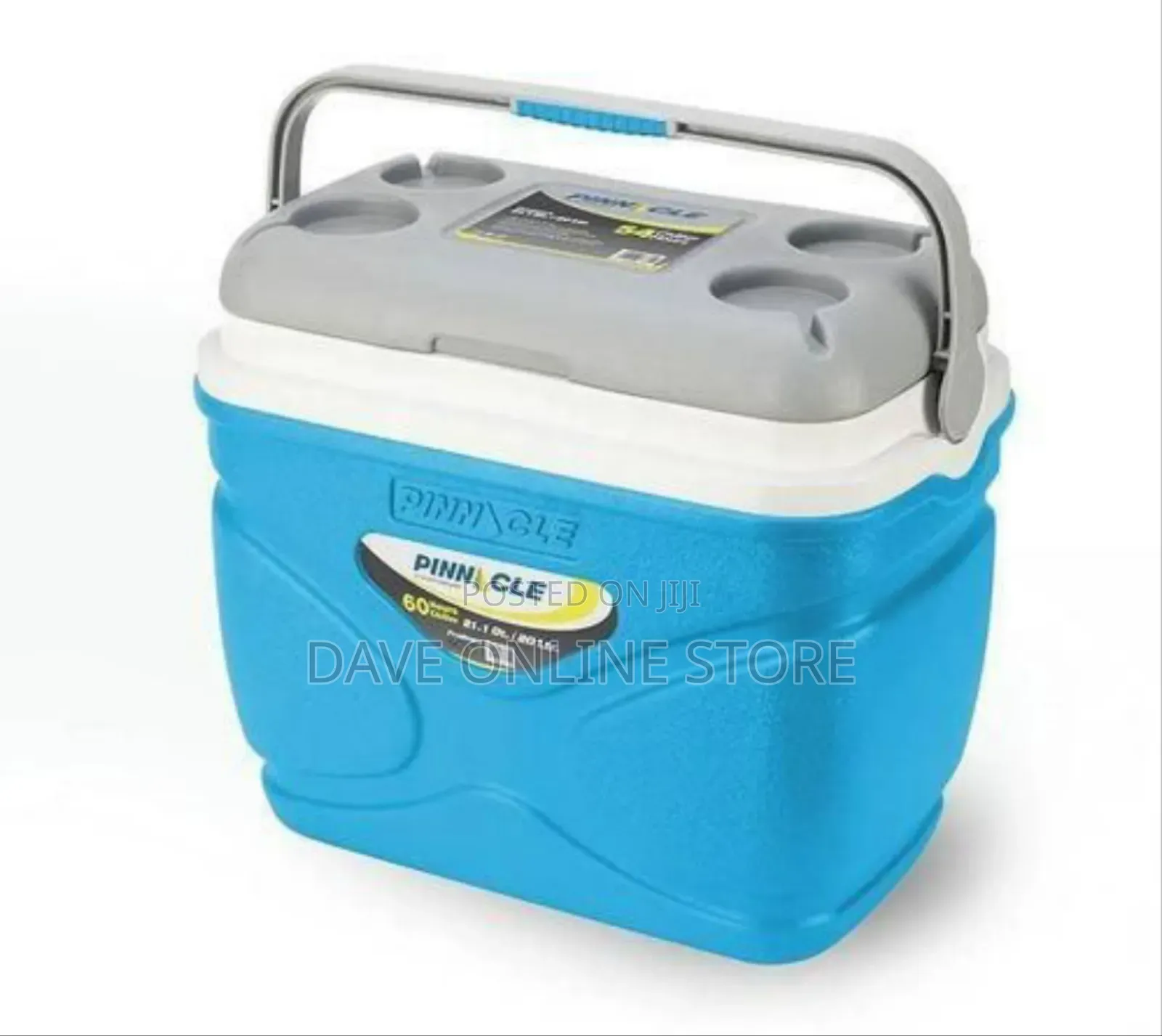 Pinnacle Portable Cooler (Or Ice Chest) With an Integrated Handle