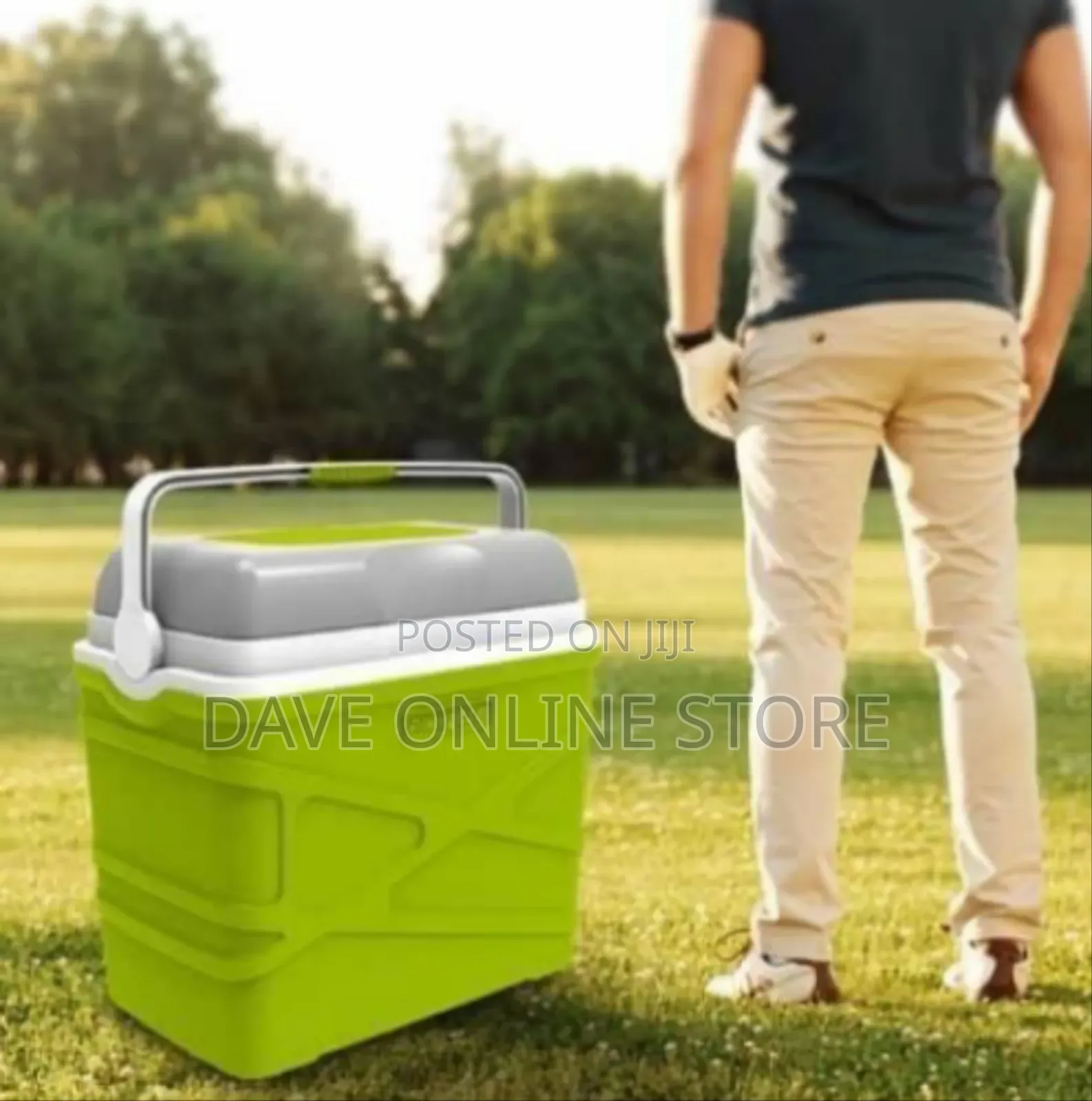 Stylish Portable Cooler With Adjustable Shoulder Strap(30l)