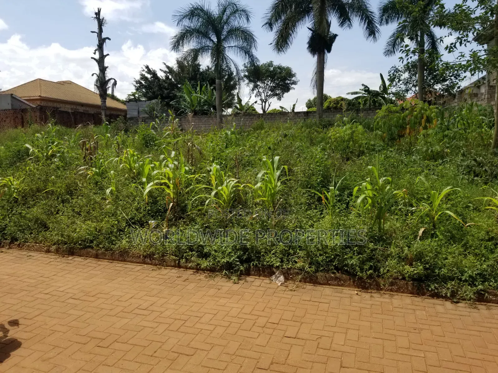 Mailo Land Title for Sale in Bweya Hill Residential Area