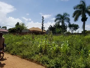 Mailo Land Title for Sale in Bweya Hill Residential Area