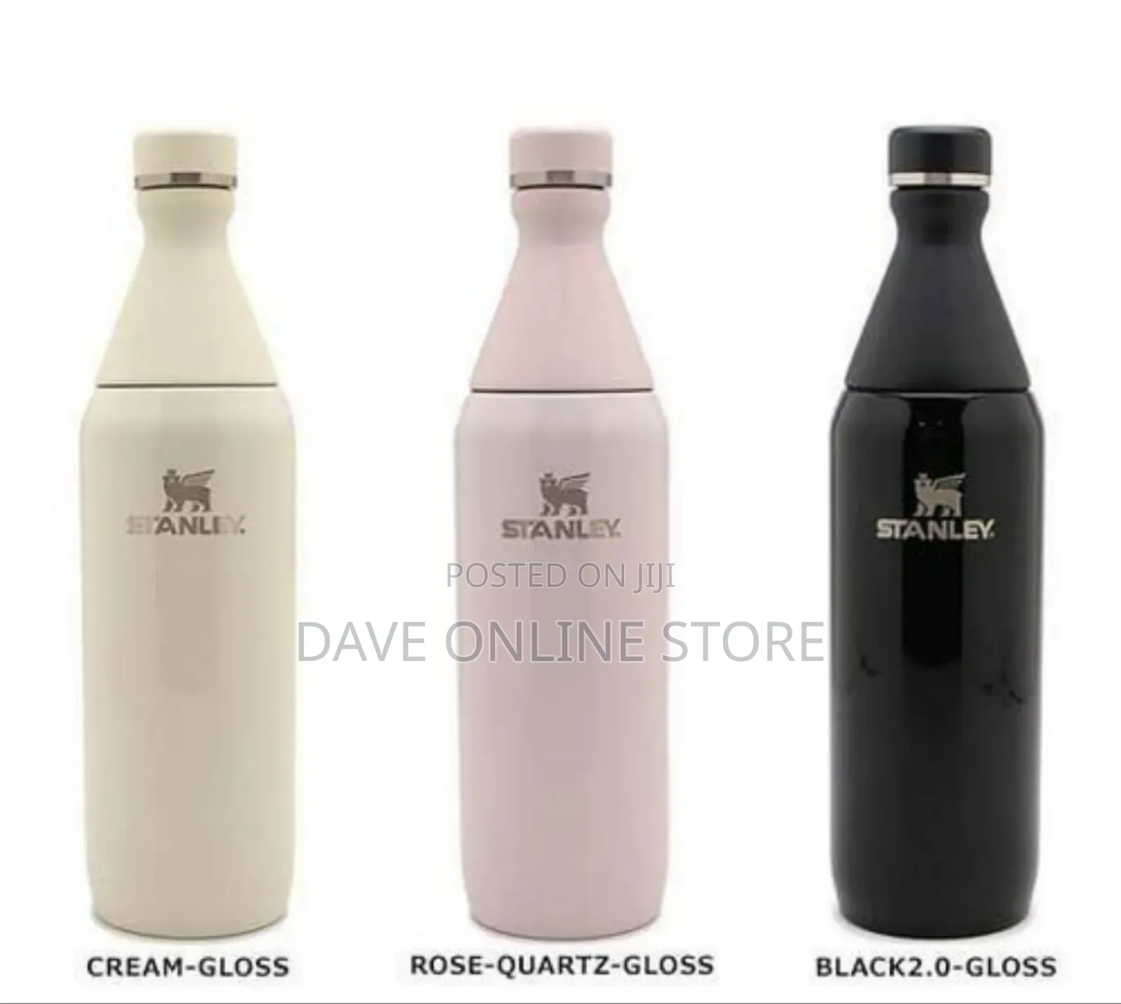 Sleek Stainless Steel All Day Slim Bottle
