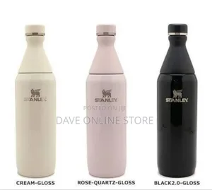 Sleek Stainless Steel All Day Slim Bottle