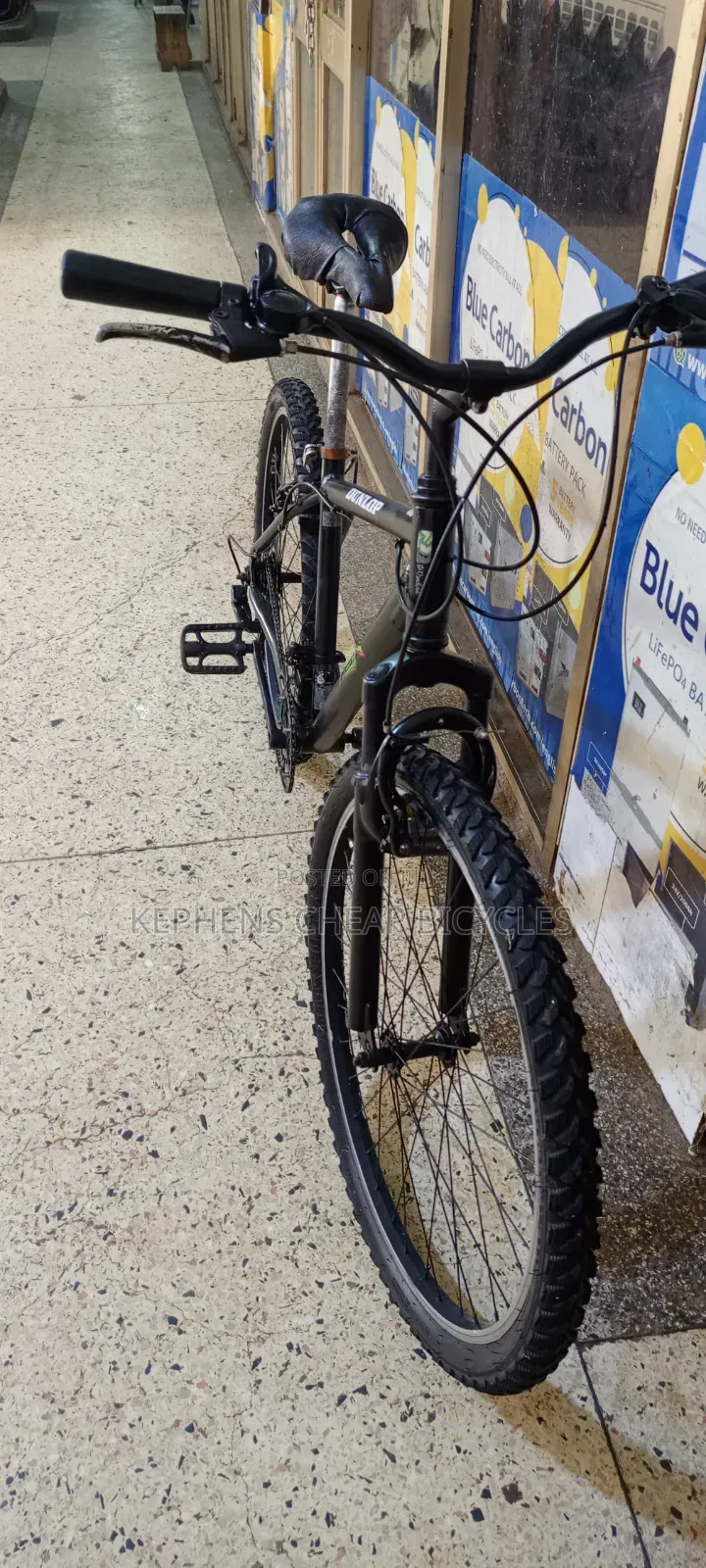 Bicycles for Aduults Ss
