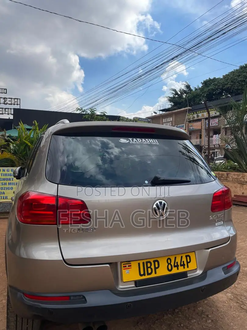 Volkswagen Tiguan S Automatic 2011 Gold