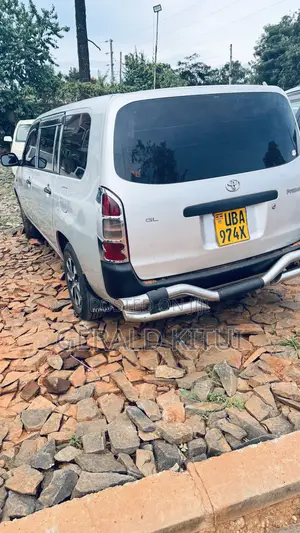 Toyota Probox 2004 Silver