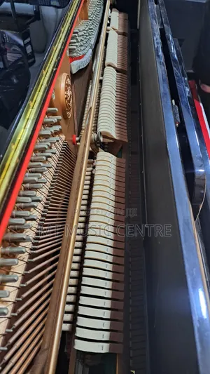 Kawaii Accoustic Keyboard Paino