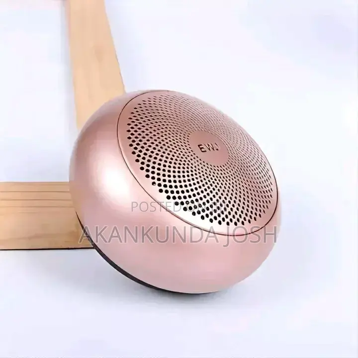 Ewa A110 Mini Boom Bass Speaker