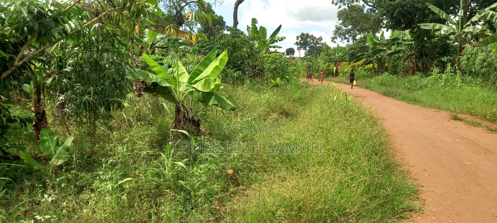 Hot Quick Sale Plot
