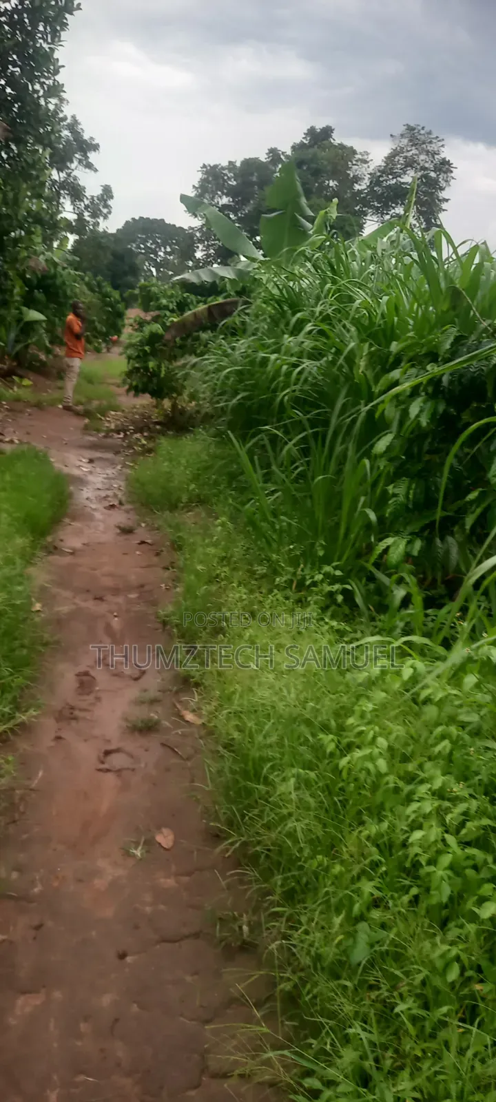 Grab a Titled 1⁄2 Acre Land (Wobulenzi)