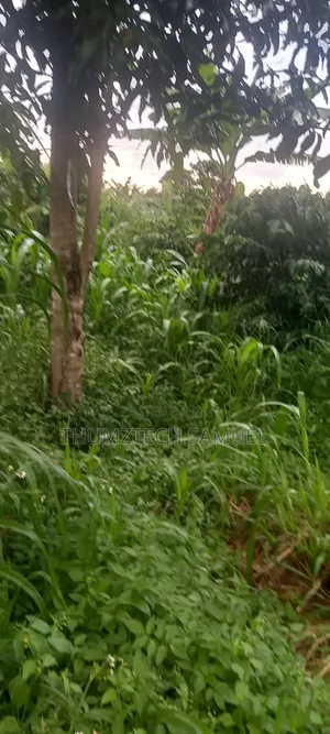 Grab a Titled 1⁄2 Acre Land (Wobulenzi)