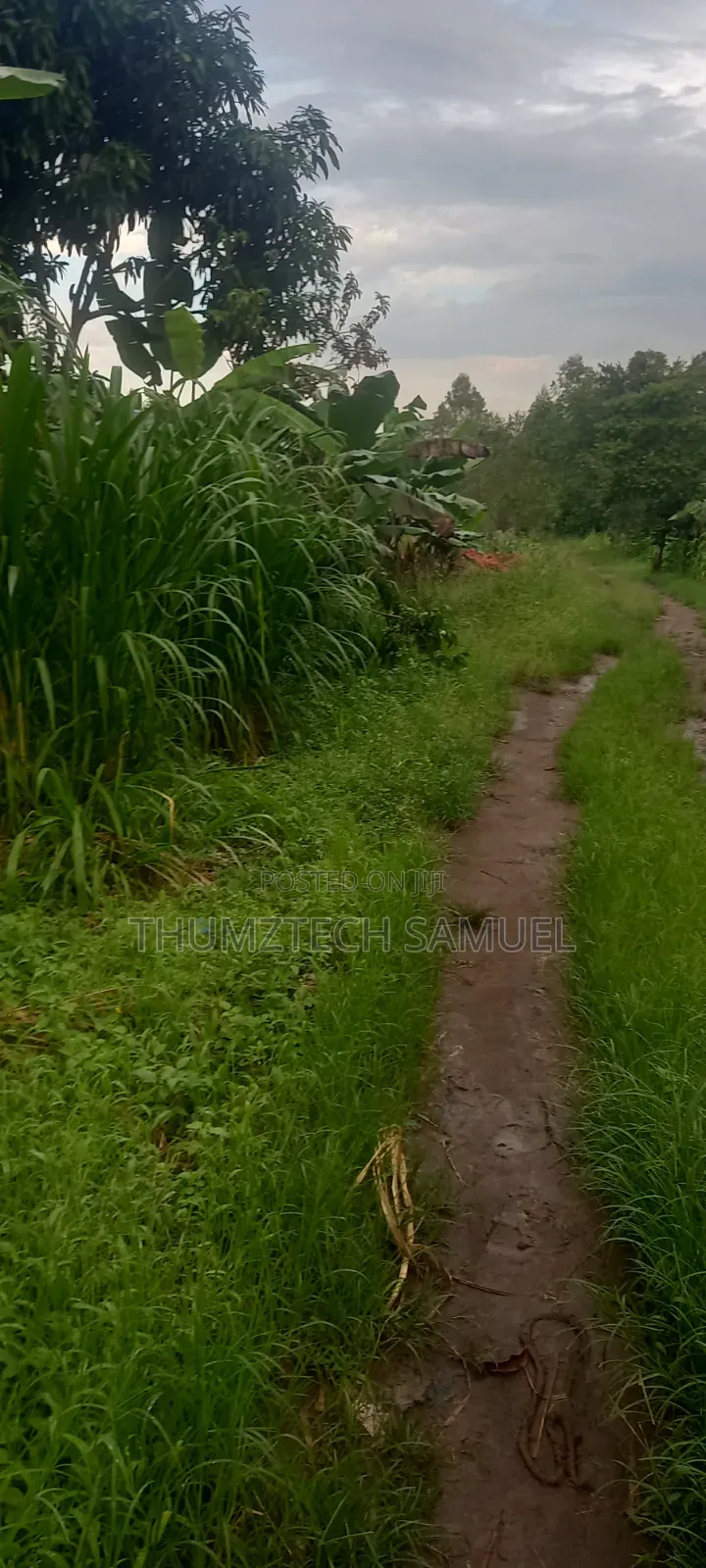 Grab a Titled 1⁄2 Acre Land (Wobulenzi)