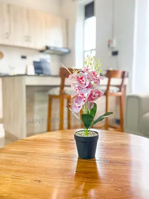Furnished 2bdrm Apartment in Tricia, Central Division for rent