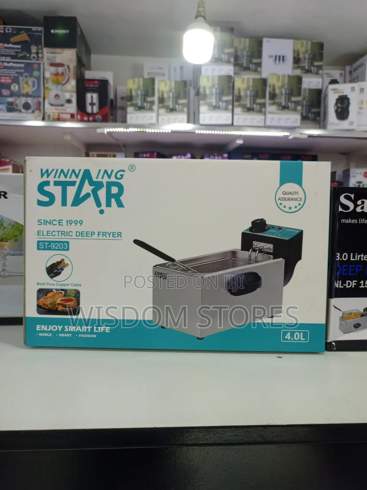 Winning Star Electric Deep Fryer (Model St-9203)