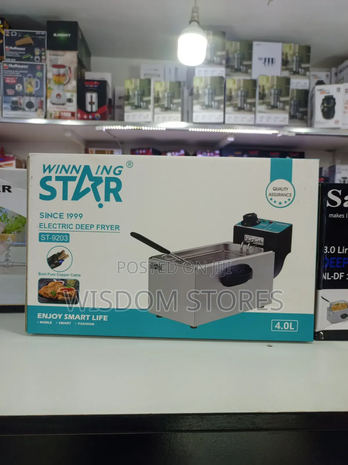 Winning Star Electric Deep Fryer (Model St-9203)
