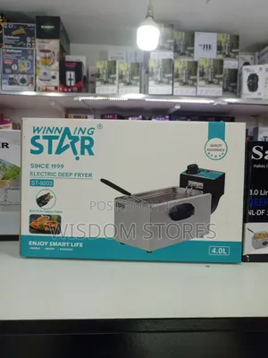Winning Star Electric Deep Fryer (Model St-9203)