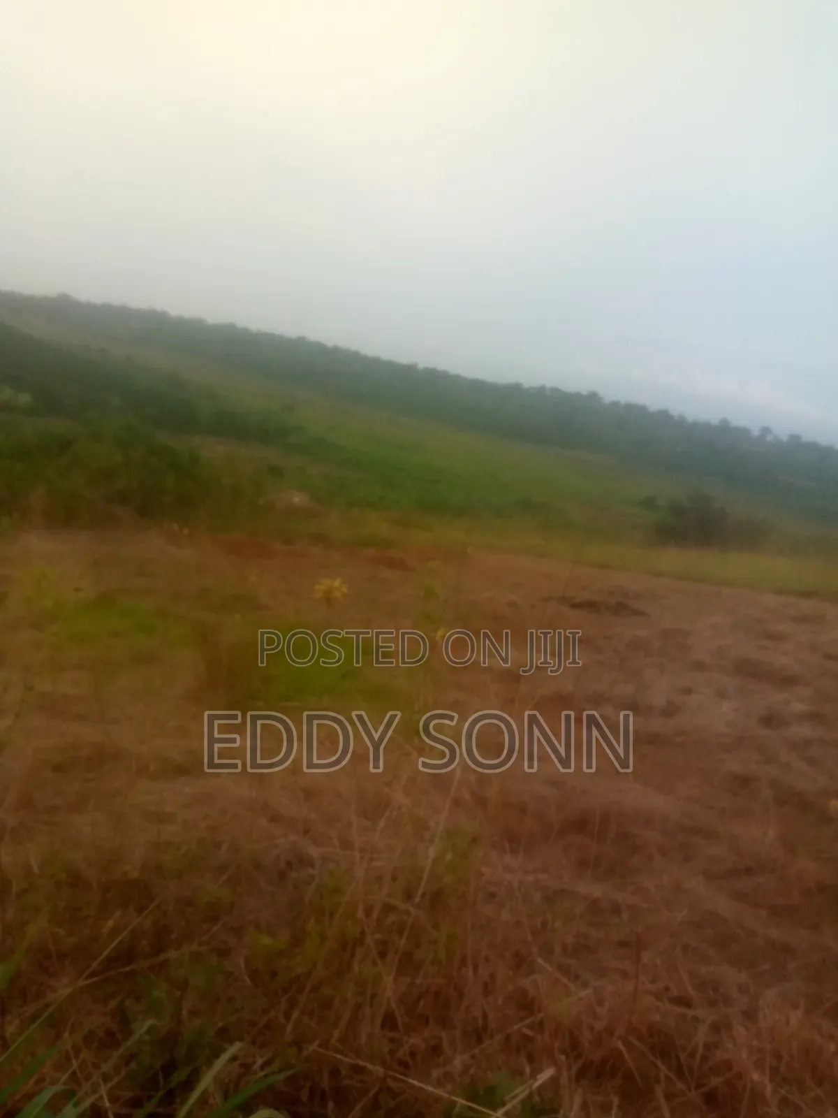 Plots and Acres for Sale