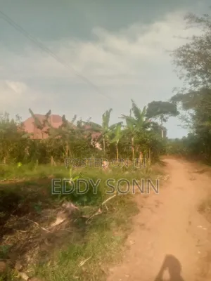 Plots and Acres for Sale