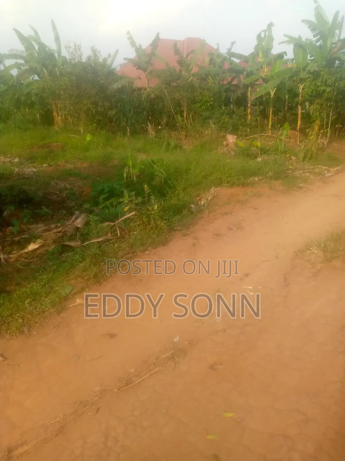 Plots and Acres for Sale