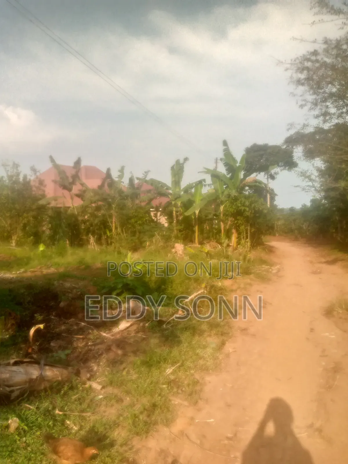 Plots and Acres for Sale