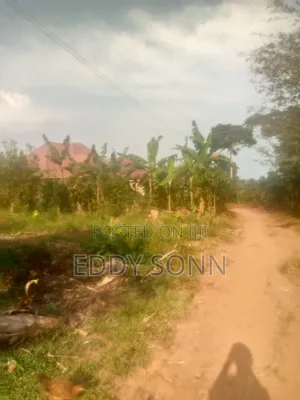 Plots and Acres for Sale