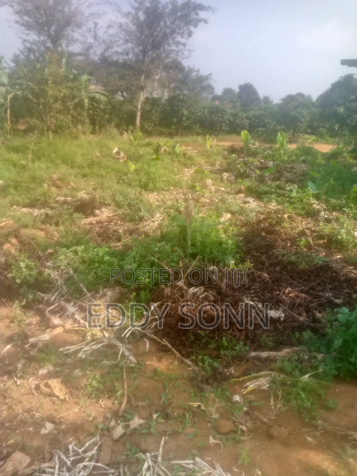 Plots and Acres for Sale
