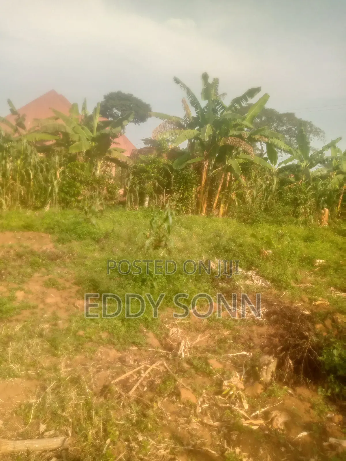 Plots and Acres for Sale