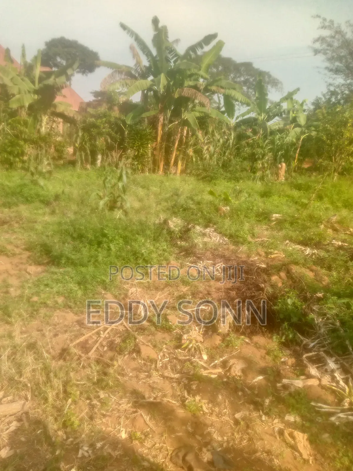 Plots and Acres for Sale