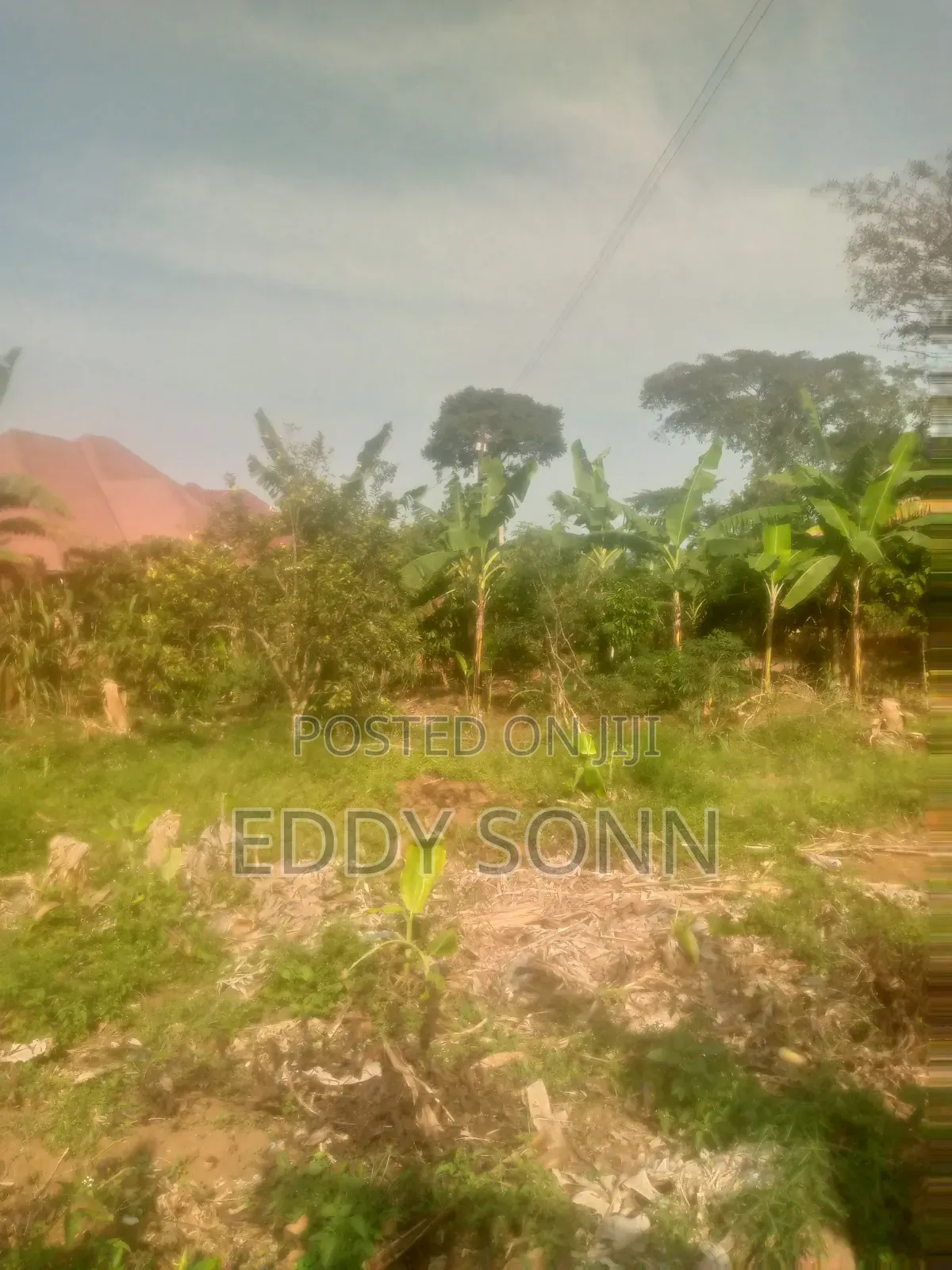 Plots and Acres for Sale